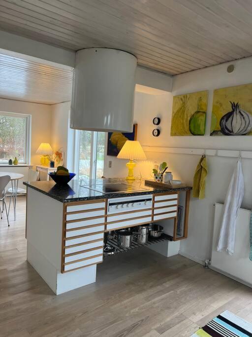 Skont Hus Pa Landet Taet Pa Billund Βίλα Give Εξωτερικό φωτογραφία